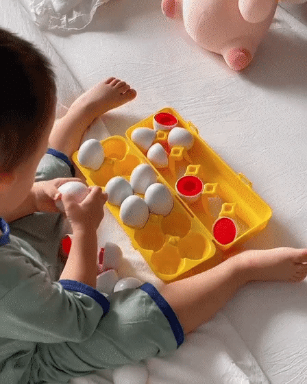 Montessori Geometric Eggs Set